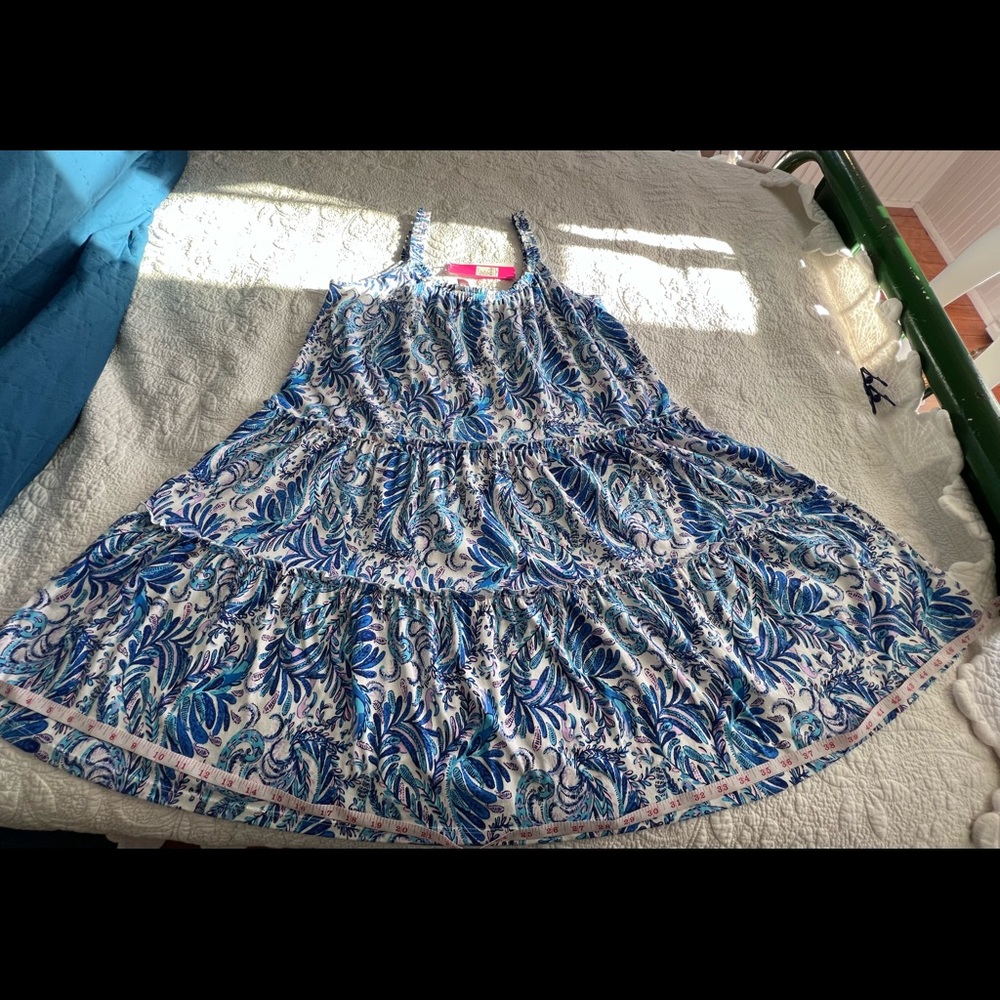 Lilly Pulitzer “Loro Dress” XL New With Tags  Pattern: Bird Is The Word - Picture 4 of 13